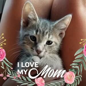 Meet your Posher, Victoria